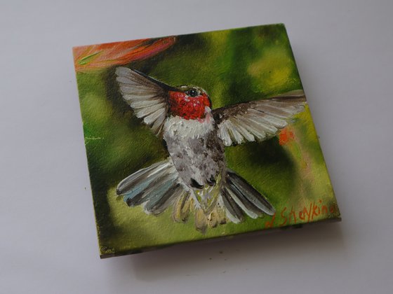 Hummingbird Miniature Art