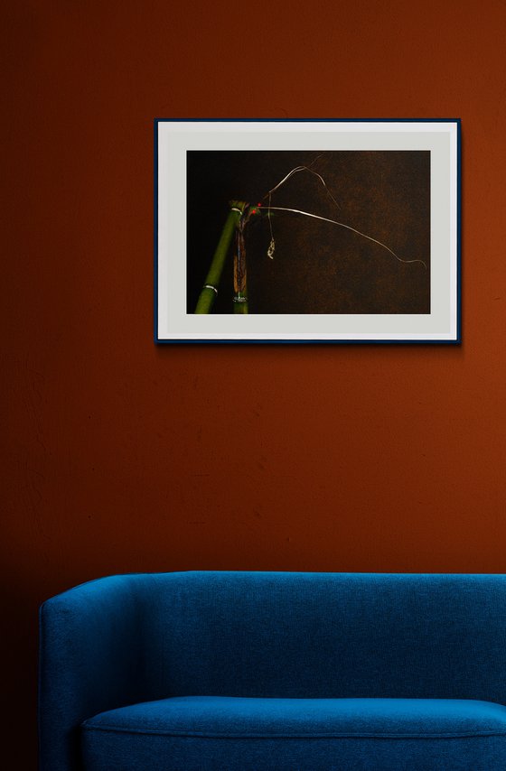 Remixing #012 -Silver grass, Spearflower-