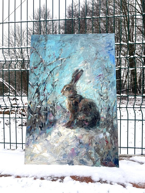 Hare in the snow