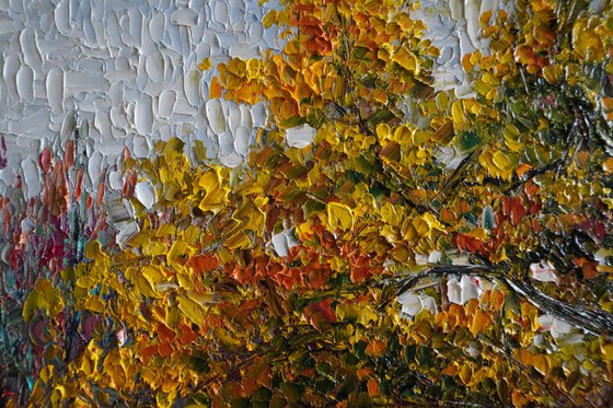 Autumn in Parz lake