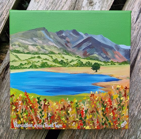 Blencathra across Tewet Tarn