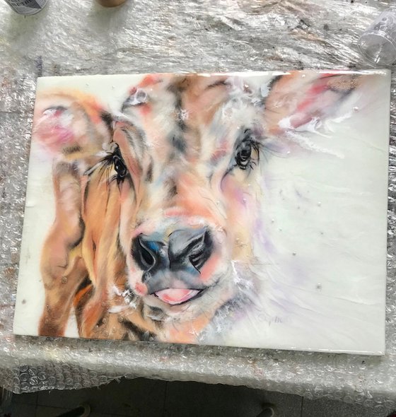 Snow, Cow calf original oil painting, Resin 16x12"