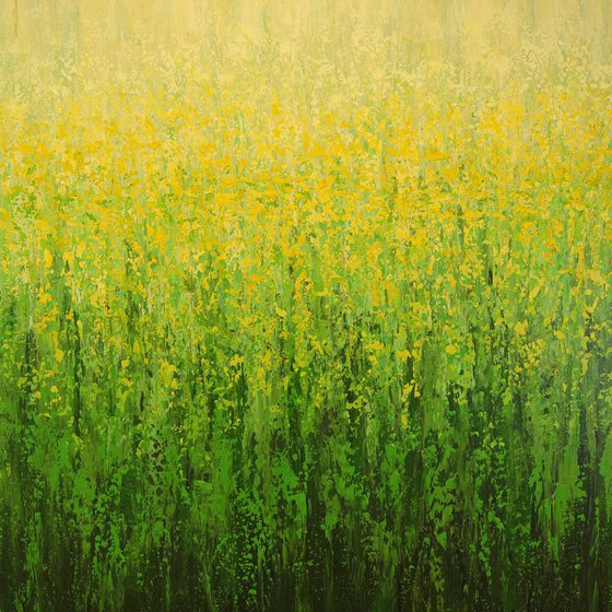 Yellow Blooms - Color Field