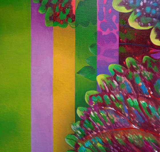 COLEUS