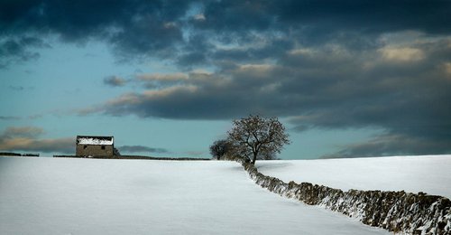 Barn and tree on skyline by DAVID SLADE