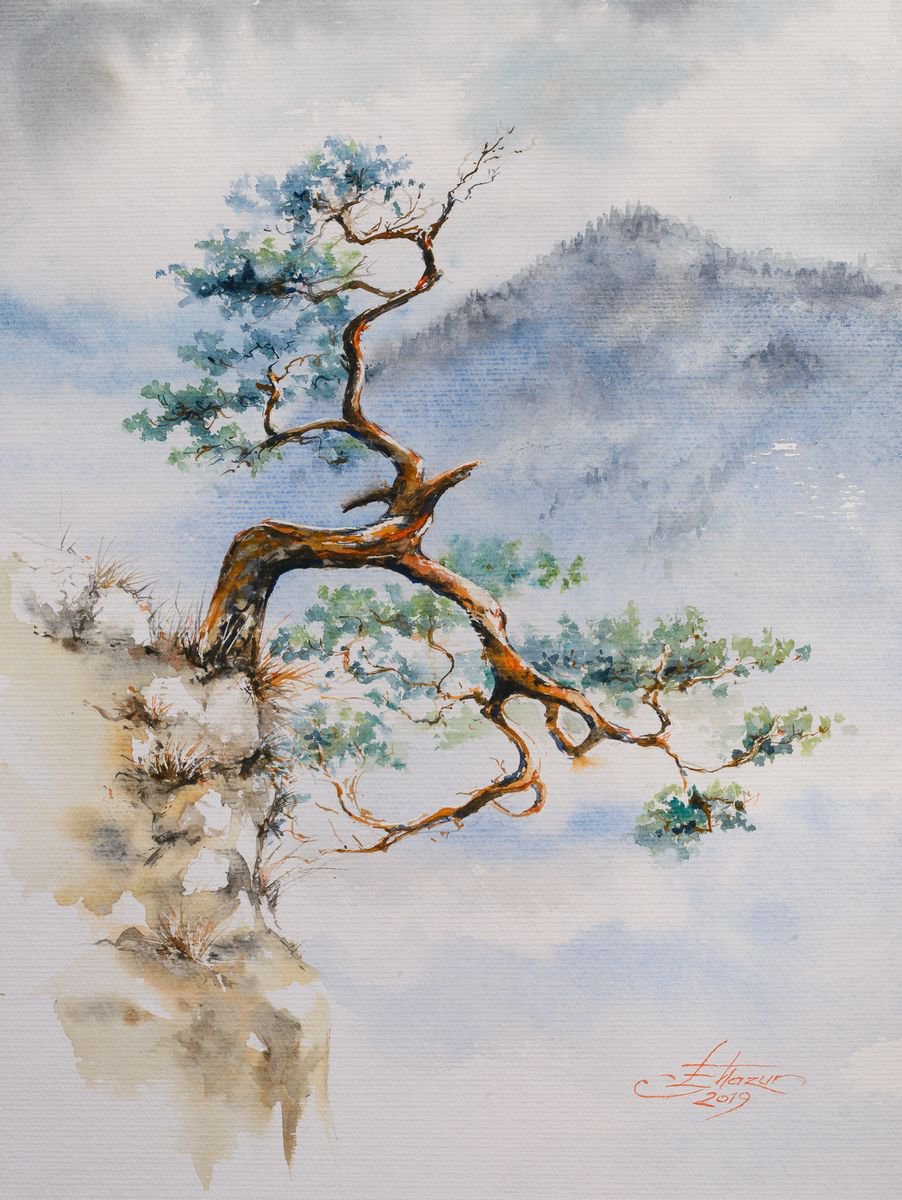 Impressionistic Landscape Watercolour By Eve Mazur, 12 X 16, Pine Tree On Sokolica, Poland, Original Artwork