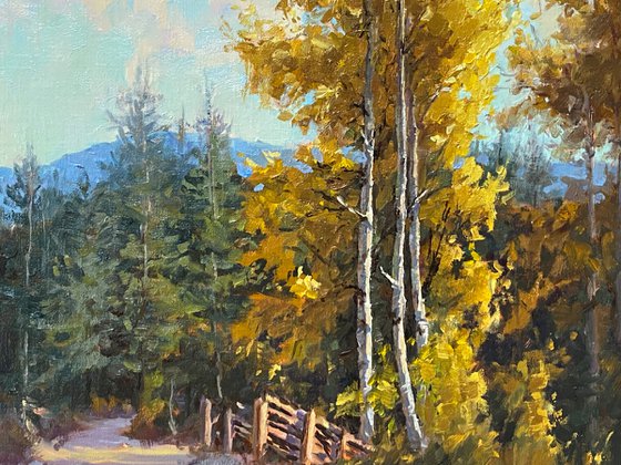 Aspen Golden Glow Landscape