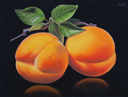 Apricots and Leaves by Dietrich Moravec