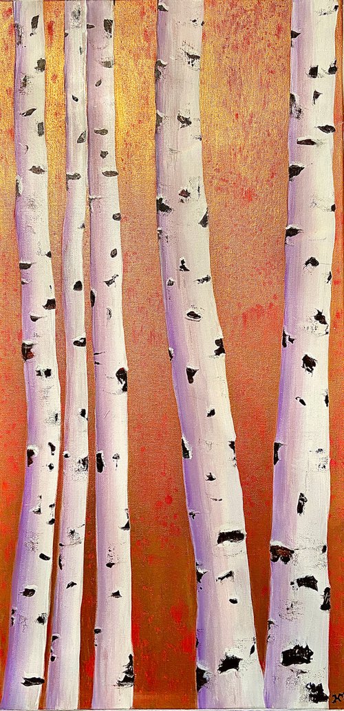 Aspen trees by Heather Matthews