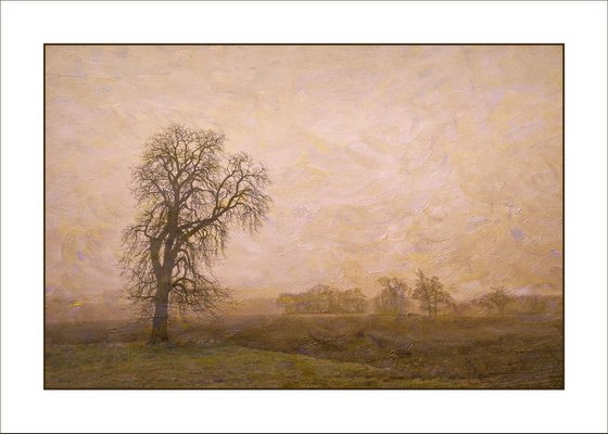 Tree in the landscape