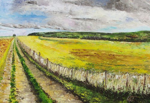 Track on South Downs by Christine Gaut