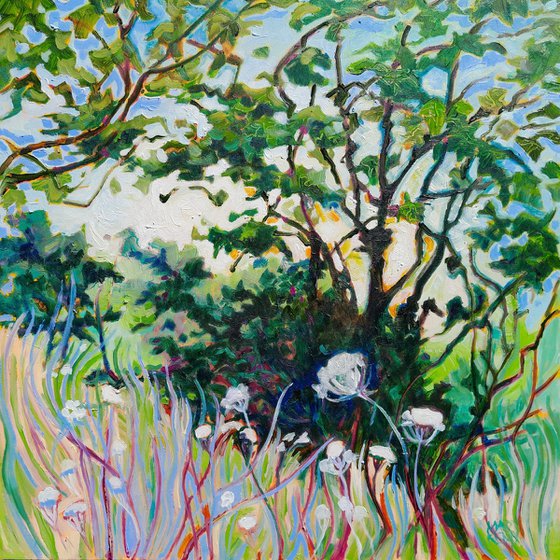 Meadow's Edge, Rural Landscape