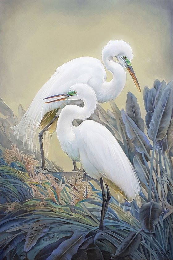 Egrets