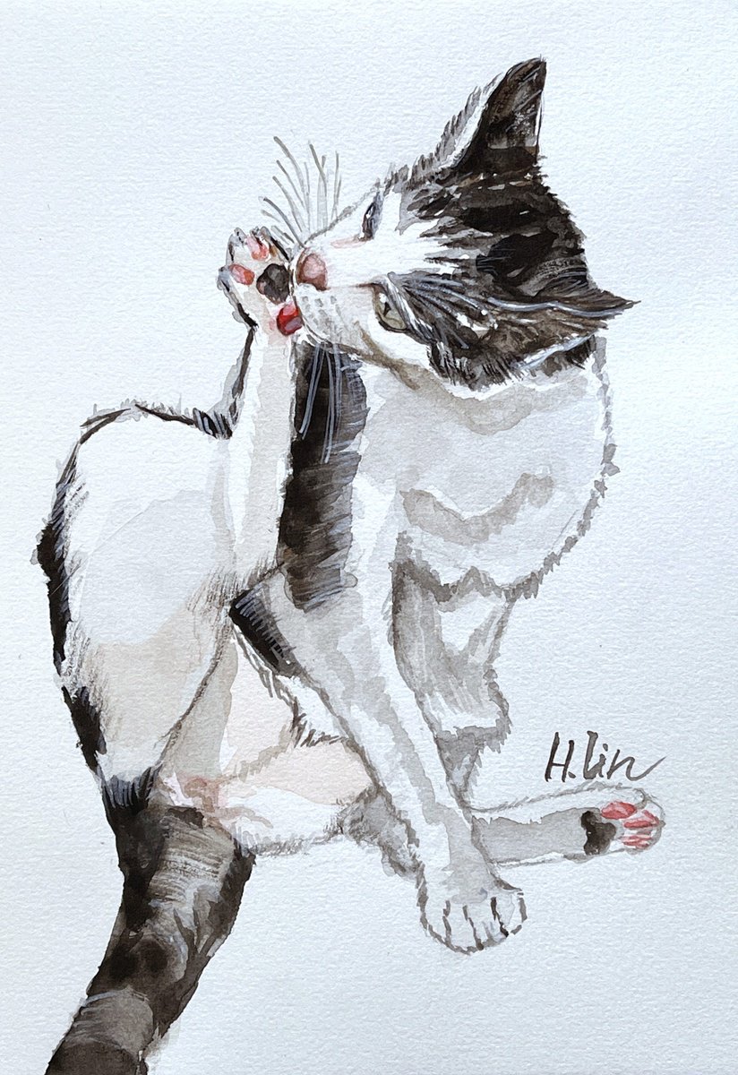 Animal Watercolour By Hsin Lin, 7 X 9, I Am Comfortable Here, Original Artwork