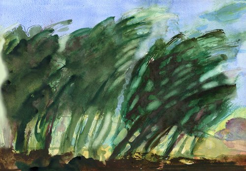 Wind Lashed Woods 2 by Elizabeth Anne Fox