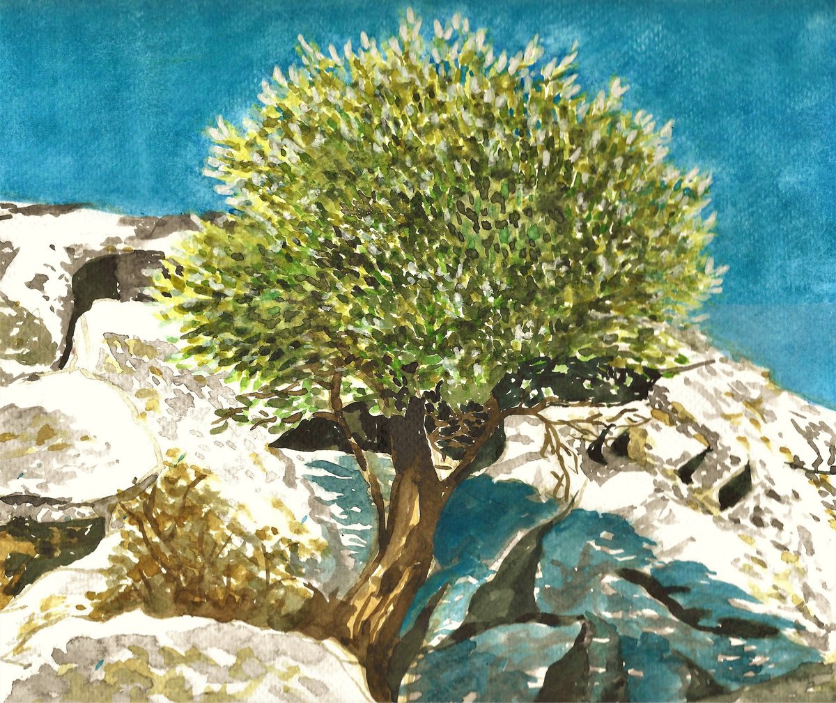 Impressionistic Botanical Watercolour By Nives Palmic, 10 X 9", Olive Tree Ii, Original Artwork