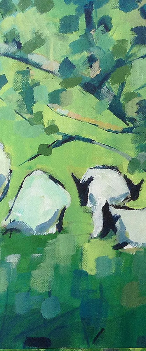Sheep looking for shade by Stuart Roper