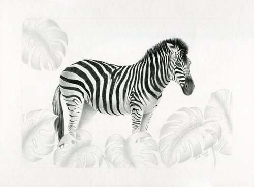 Zebra by Julia Tulub
