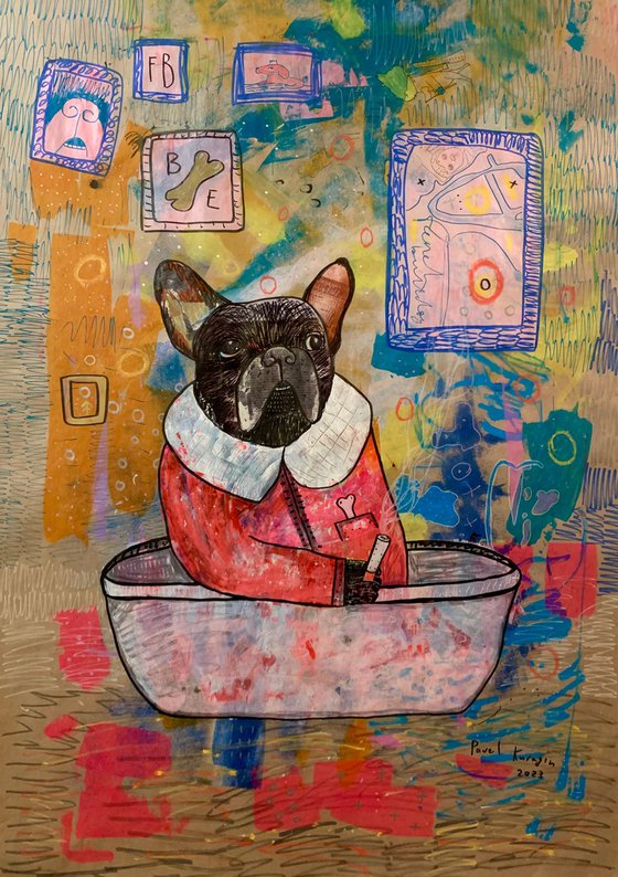 French bulldog in the bathroom