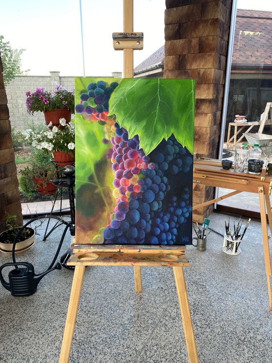 Sunny Grapes, 50 х 70 cm, oil on canvas