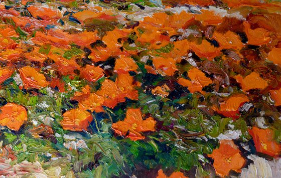 Antelope Valley, Golden Poppies