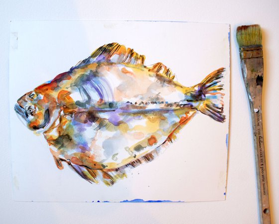 Halibut fish