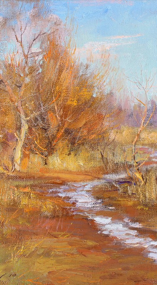 The first snow melted by Volodymyr Tarabanov