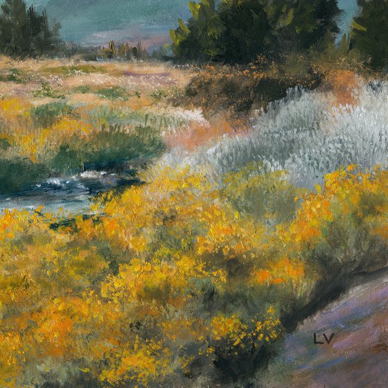 Mount Shasta in California