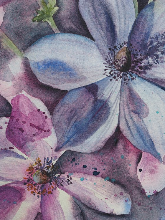 Anemones - purple flower, original watercolor