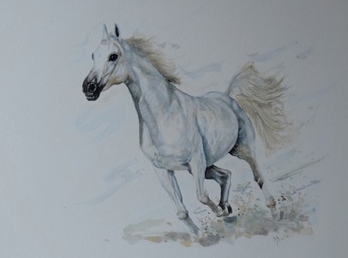 Horse 'Wild and Free' by Mel Davies Original Art