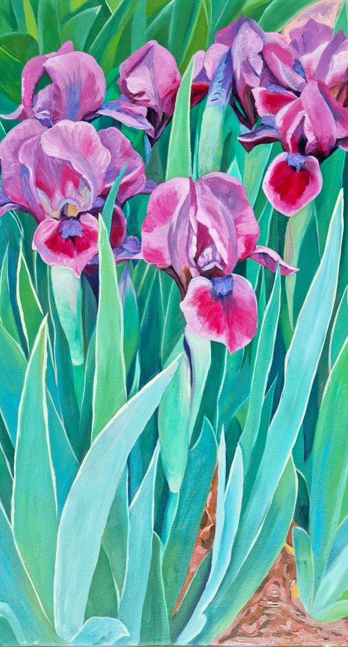 Pink Irises by Zulfiya Mukhamadeyeva