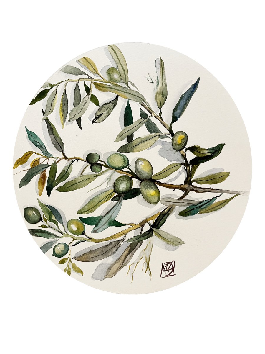 Illustrative Botanical Watercolour By Maria Kireev, 10 X 10", Olive From My Garden, Original Artwork