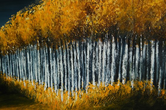 Aspens Lines- Fields and Colors Series-