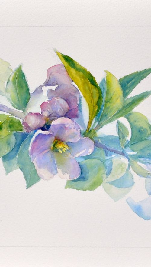 APPLE BLOSSOM I original watercolor 37X28 by Beata van Wijngaarden