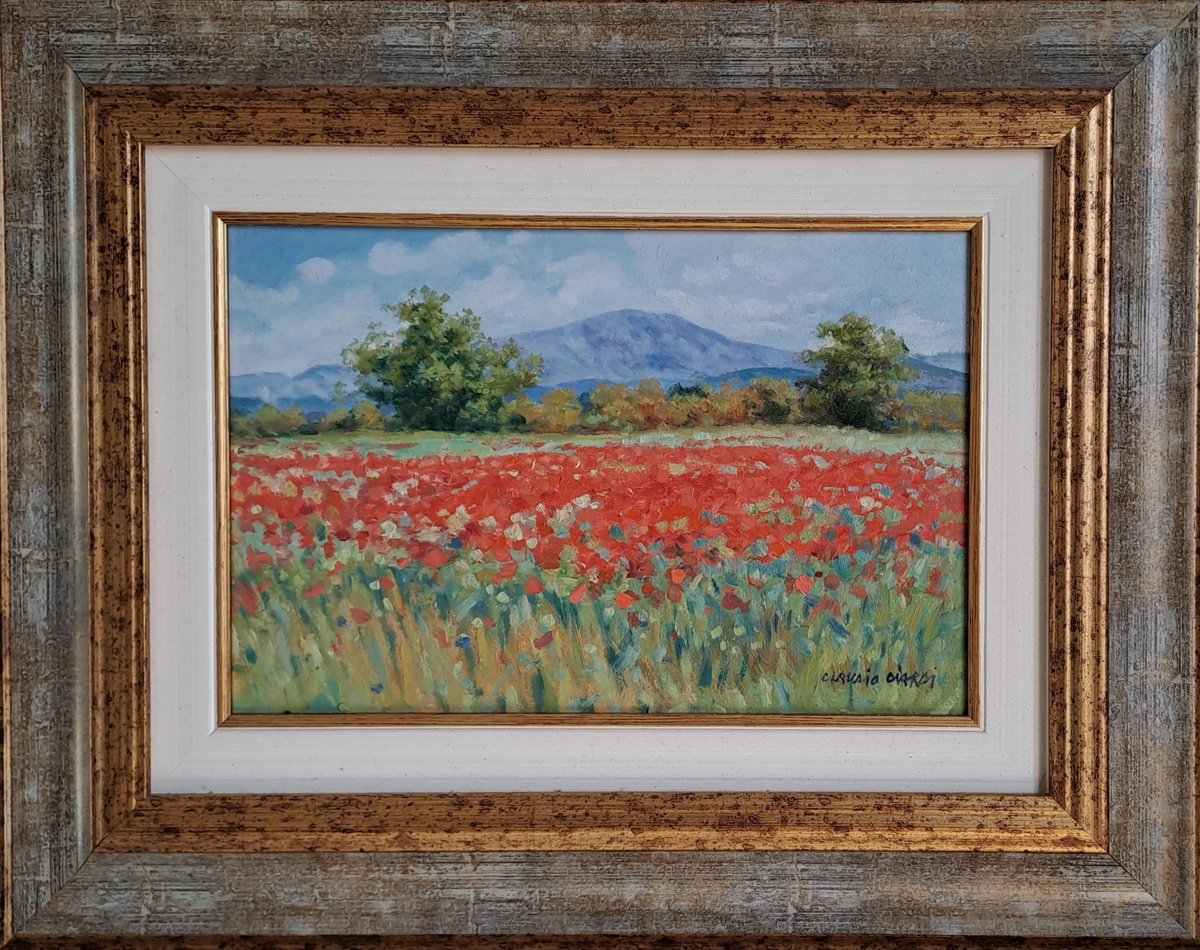Impressionistic Botanical Oil Painting By Claudio Ciardi, 16 X 12, Poppies In Tuscany, Original Artwork