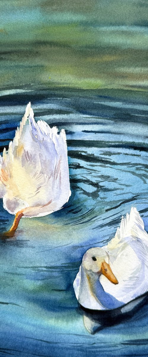 Two Happy Ducks by Anna Lyashenko
