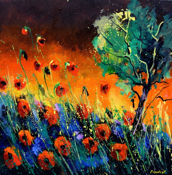 Red poppies - 4420