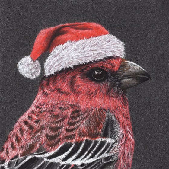 Original pastel drawing bird "Pine Grosbeak"