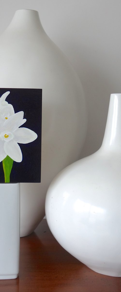 Paperwhites by Susan Porter