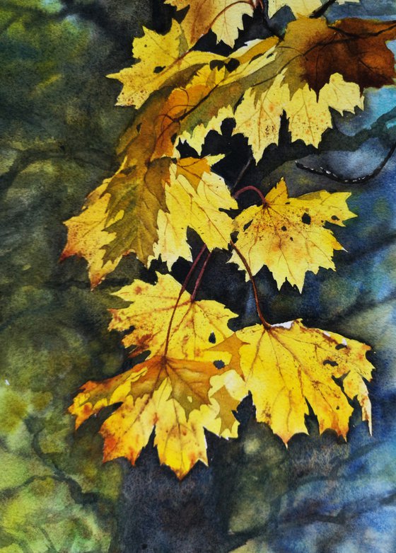 Golden Leaves - Autumn Light - Maple branch with golden leaves - Autumn Leaves Painting