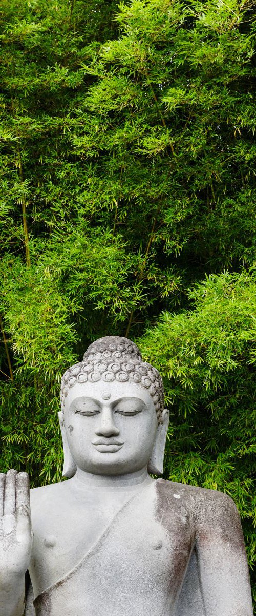 Buddha and Bamboo by Tom Hanslien