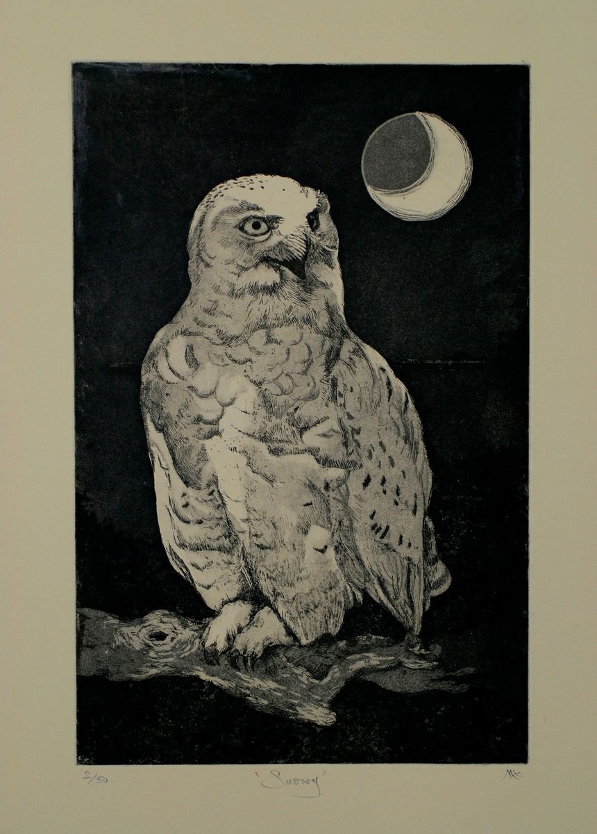 Illustrative Animal Etchings & Engravings By Isabel Hutchison, 16 X 23, Snowy Owl Etching, Original Artwork