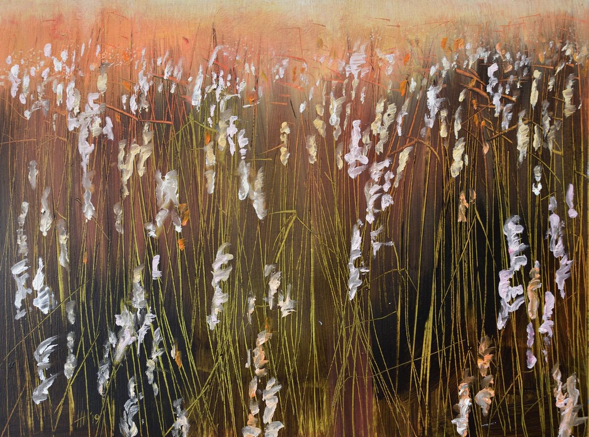 Expressive Landscape Oil Painting By Hilde Hoekstra, 17 X 13, Reed Plumes In The Evening Sun, Original Artwork