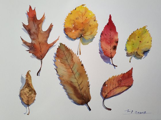 Colours of Autumn 2