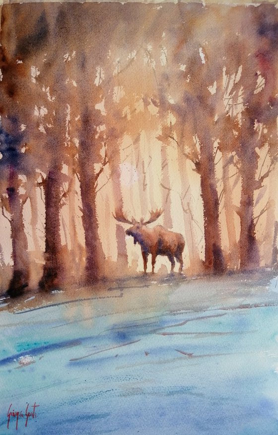 moose