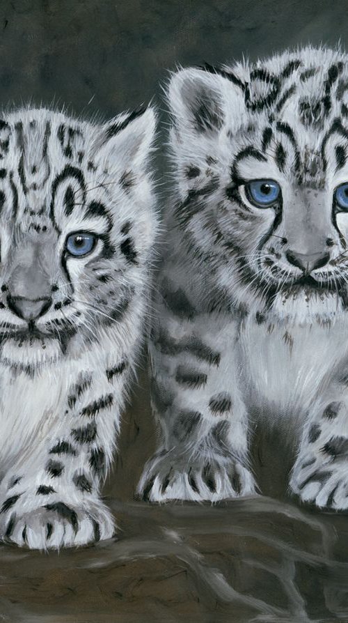 The Twins by Nicola Colbran