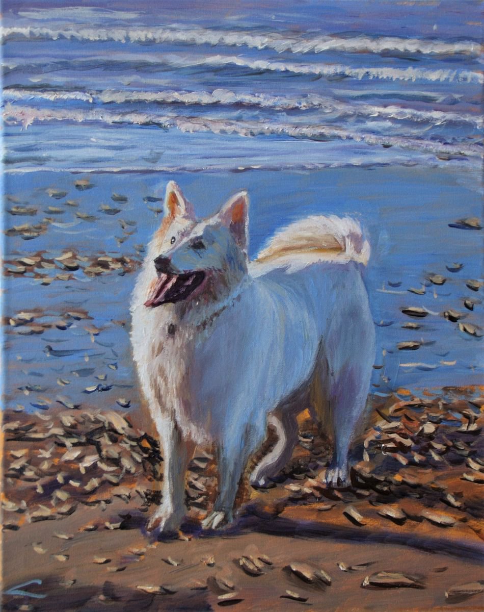 Impressionistic Animal Oil Painting By Elena Sokolova, 16 X 20, Dog At The Sea 2, Original Artwork