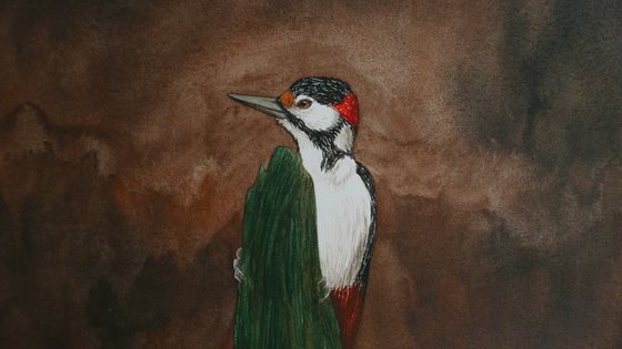 Woodpecker in the dark forest