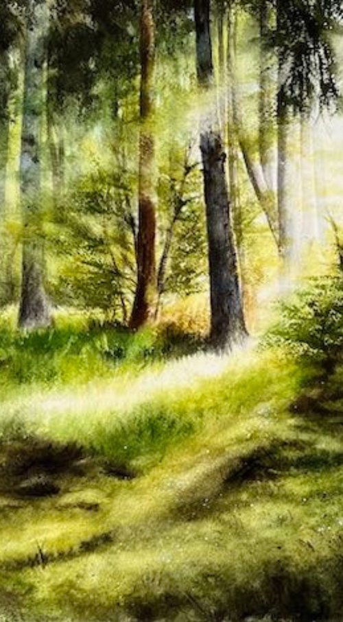 Forest Clearing by Annett Coumont