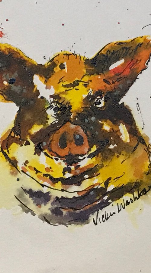 Glued to the box by Vicki Washbourne